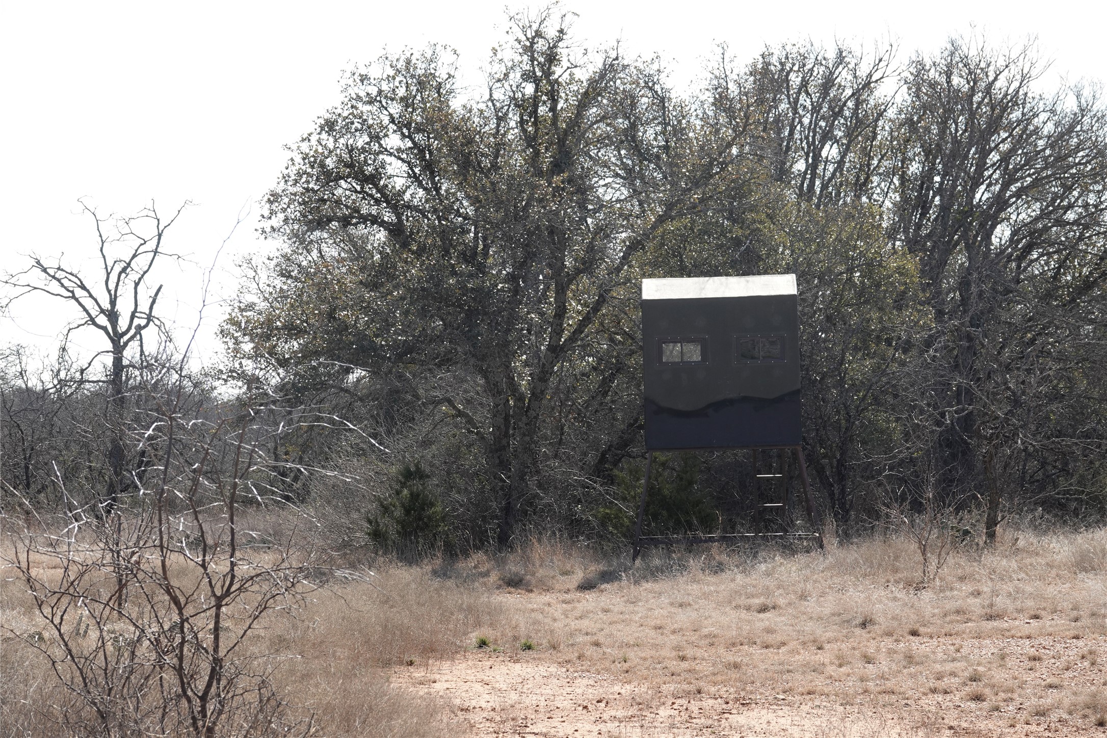 219 Cr 550 Mullin TX 76864