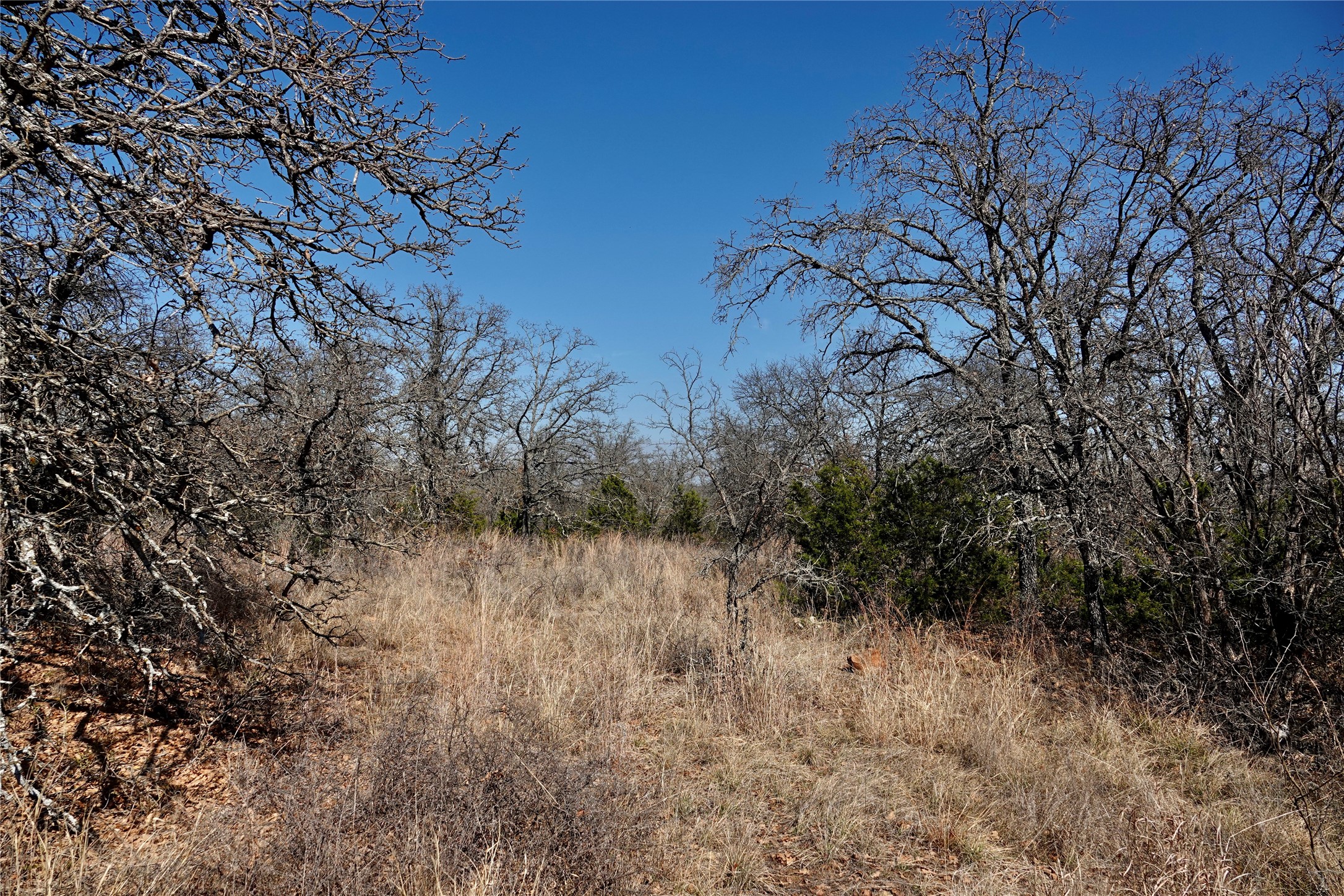 219 Cr 550 Mullin TX 76864