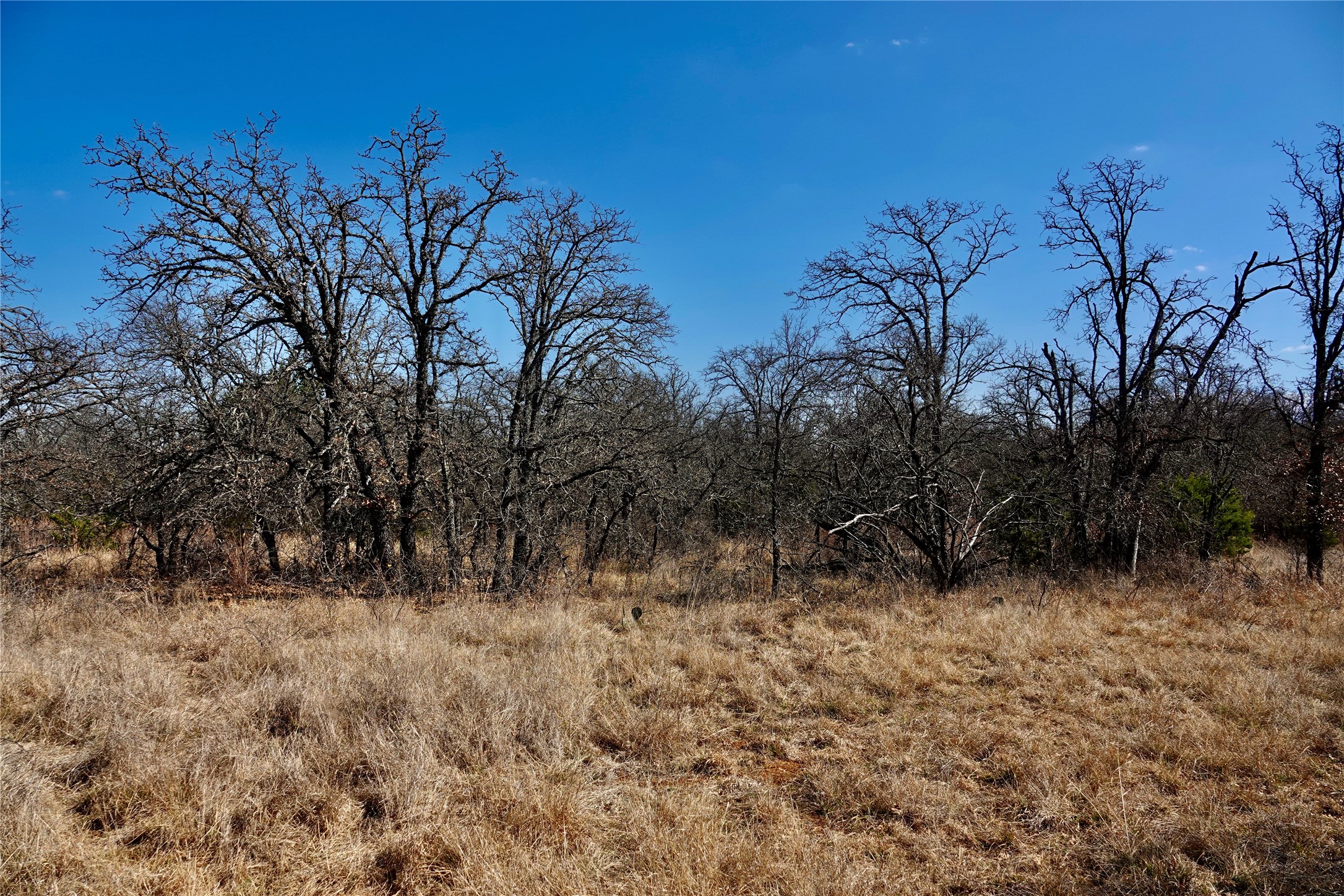 219 Cr 550 Mullin TX 76864