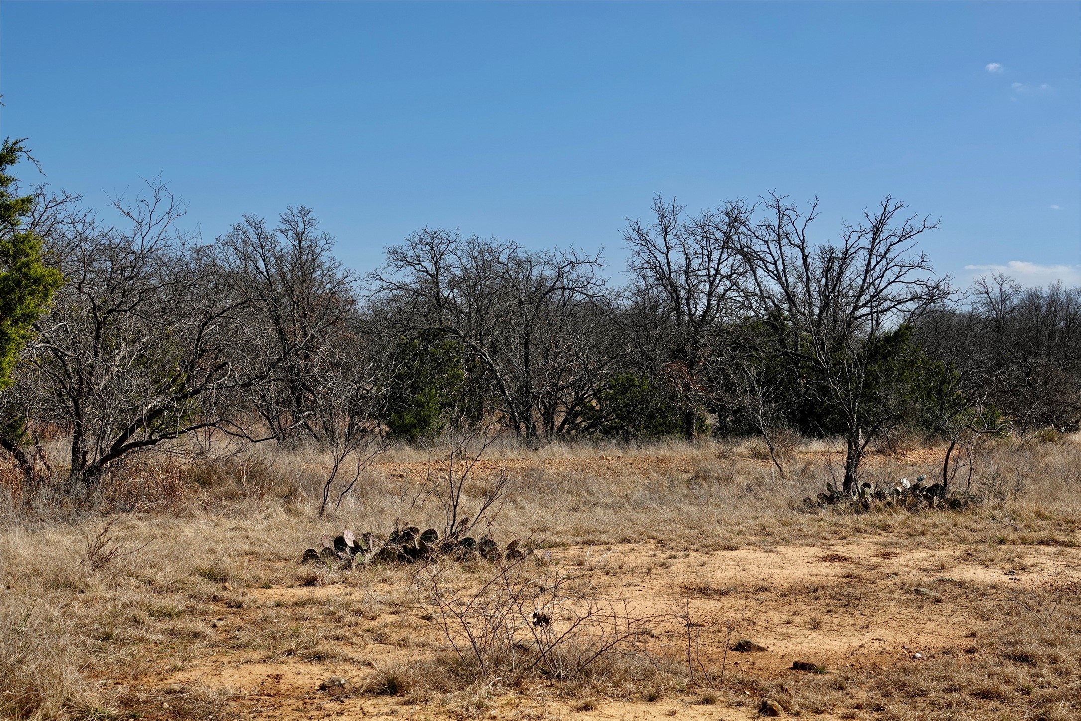 219 Cr 550 Mullin TX 76864