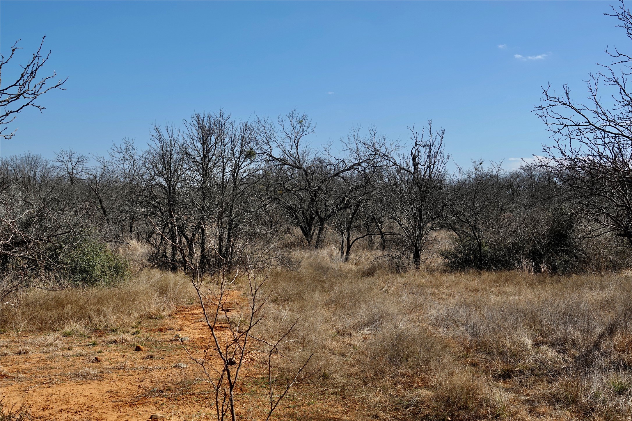 219 Cr 550 Mullin TX 76864