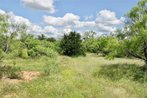 219 Cr 550 Mullin TX 76864