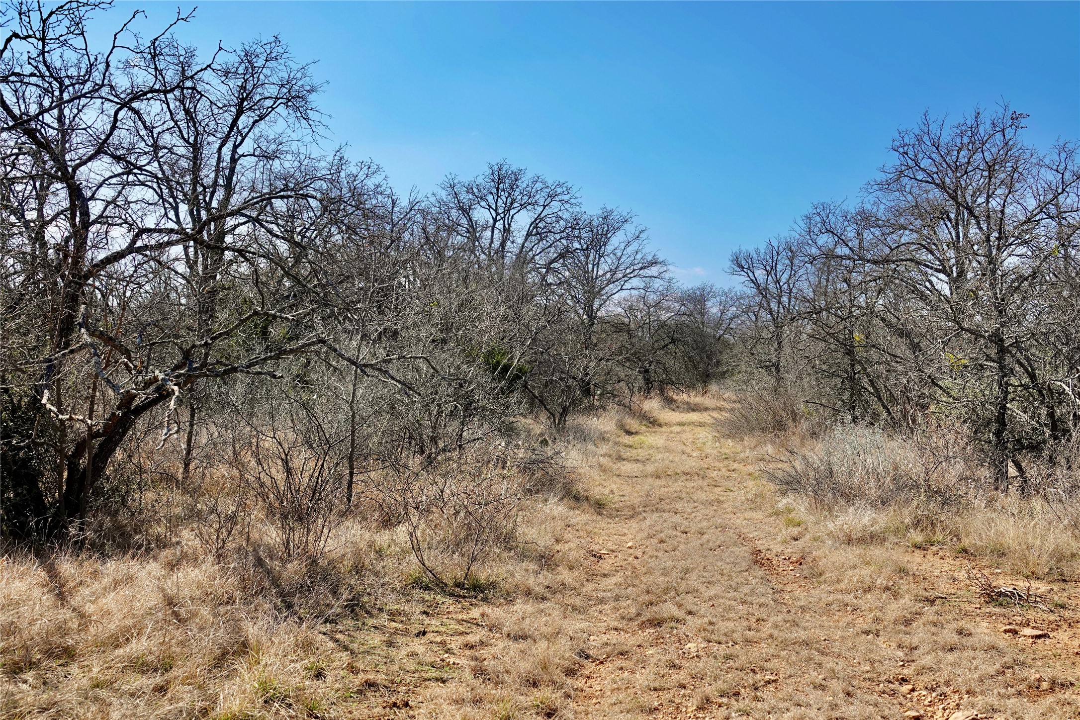 219 Cr 550 Mullin TX 76864