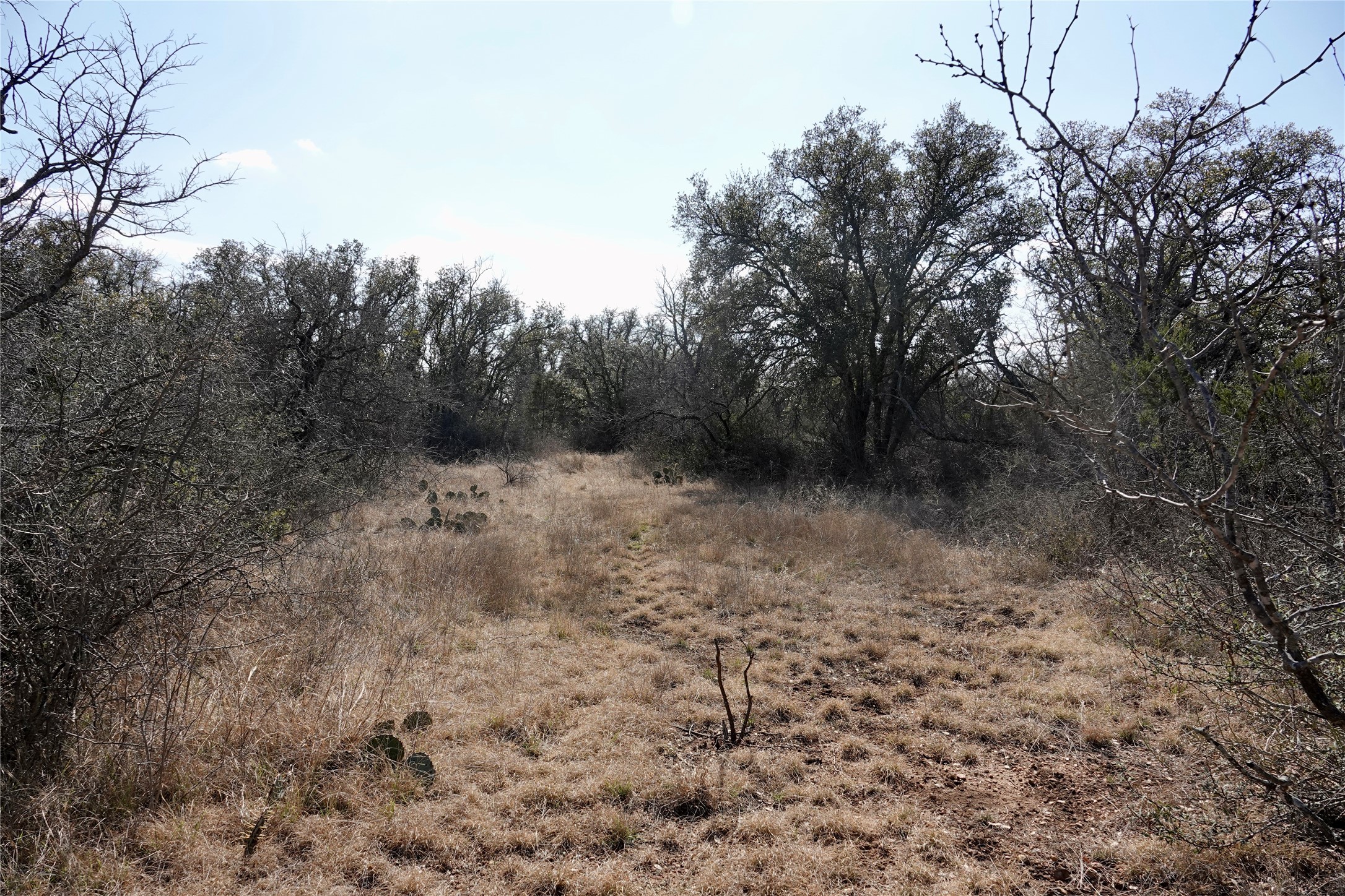 219 Cr 550 Mullin TX 76864