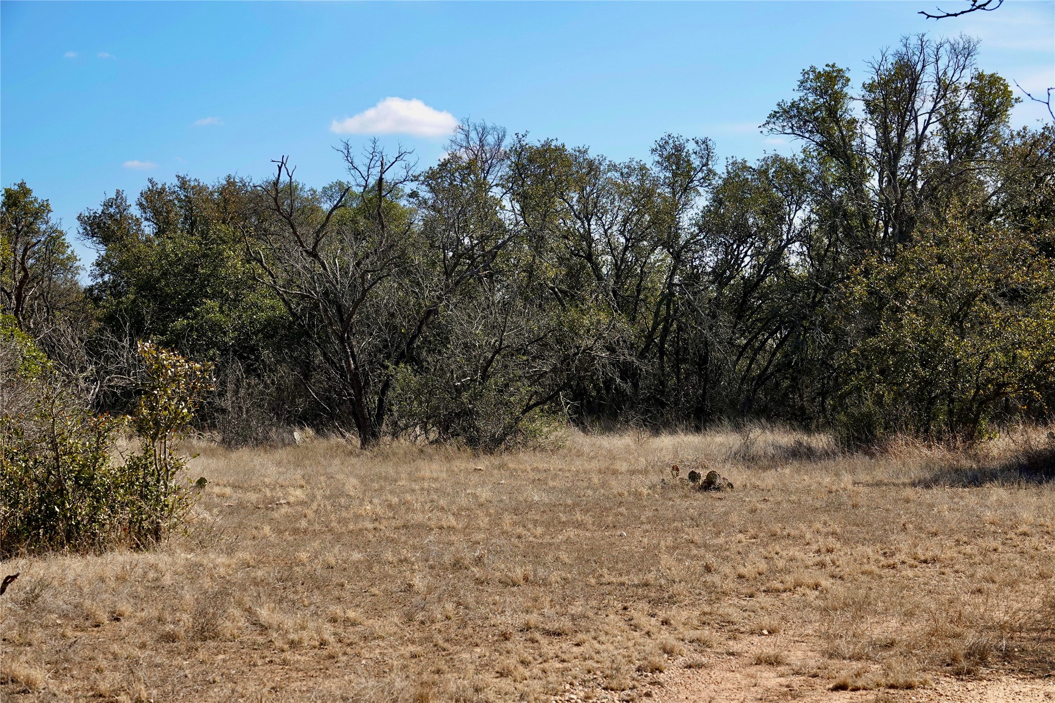 219 Cr 550 Mullin TX 76864