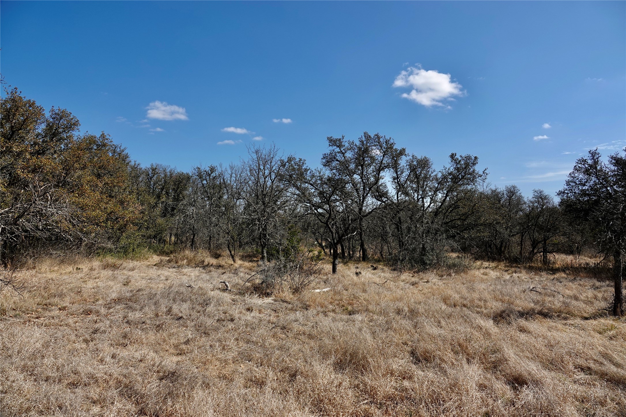 219 Cr 550 Mullin TX 76864