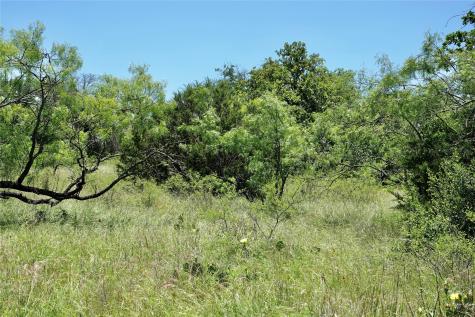 219 Cr 550 Mullin TX 76864