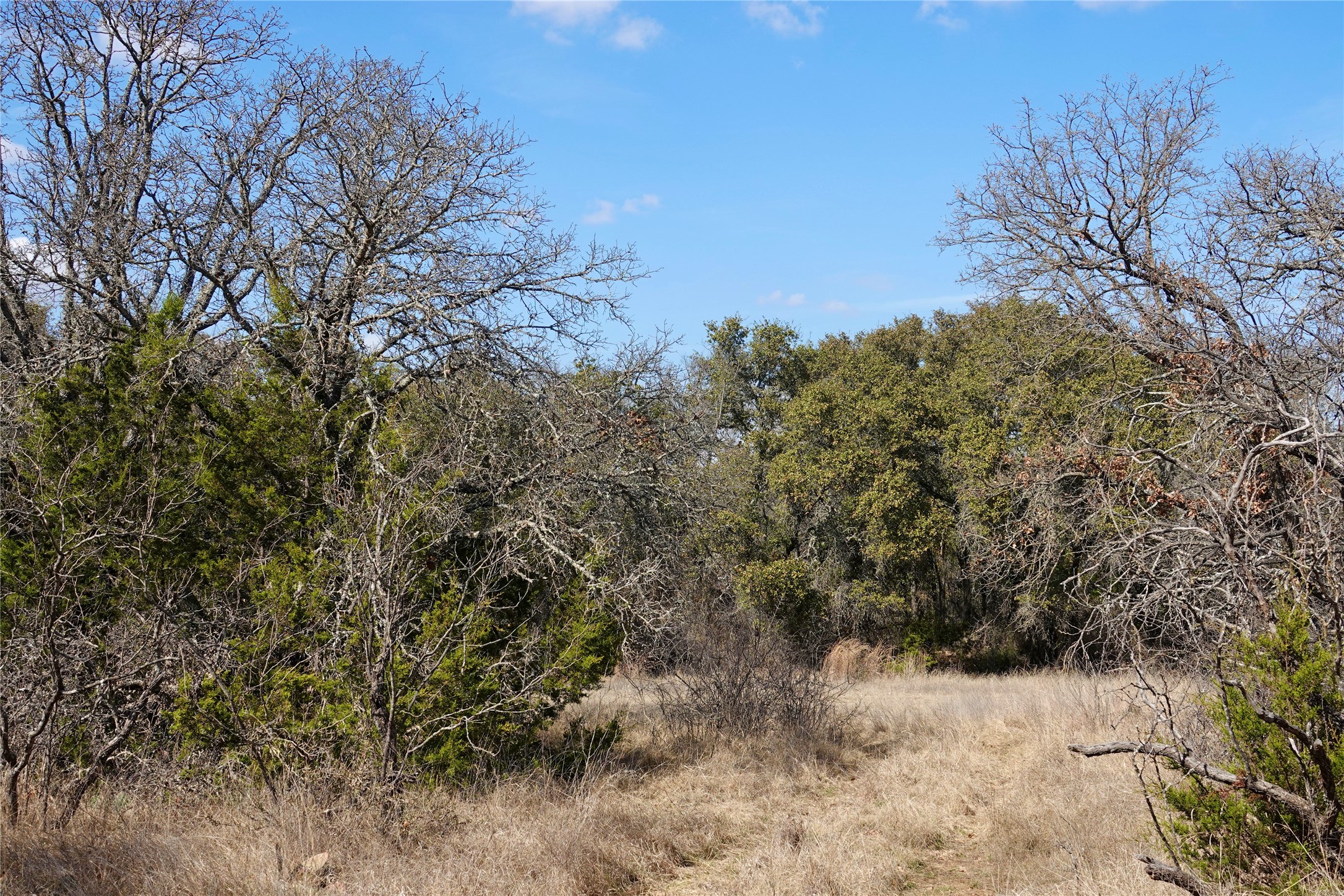 219 Cr 550 Mullin TX 76864