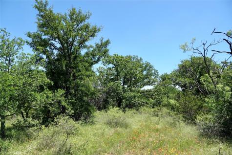 219 Cr 550 Mullin TX 76864