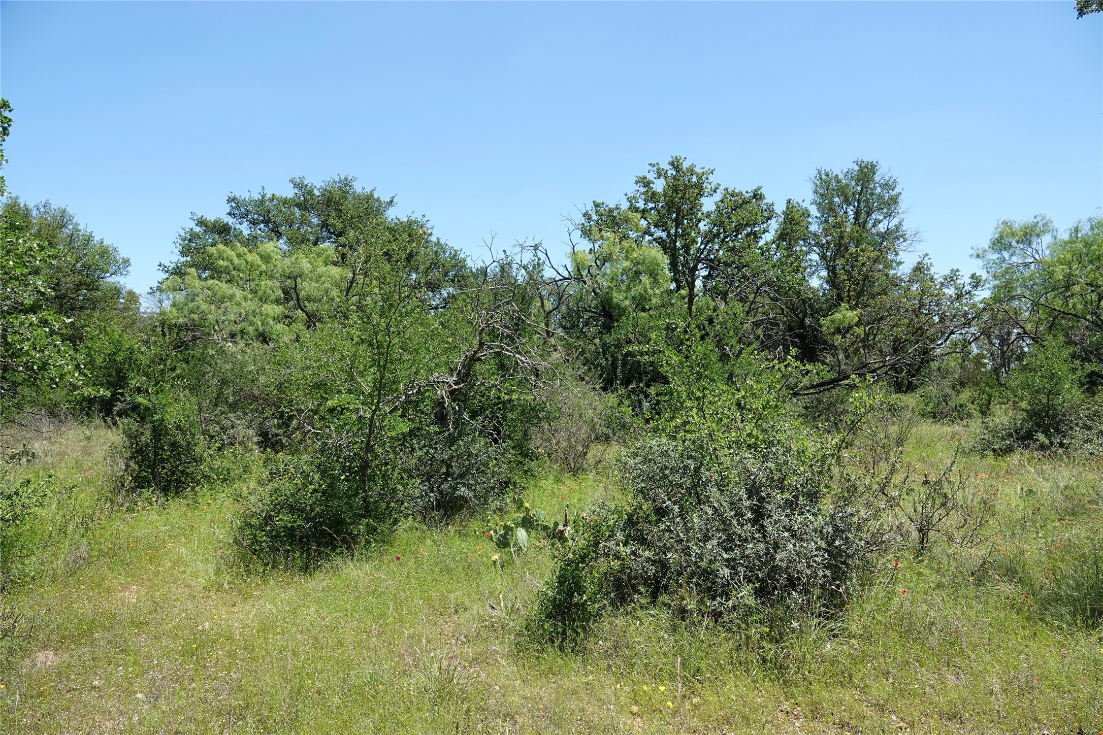 219 Cr 550 Mullin TX 76864
