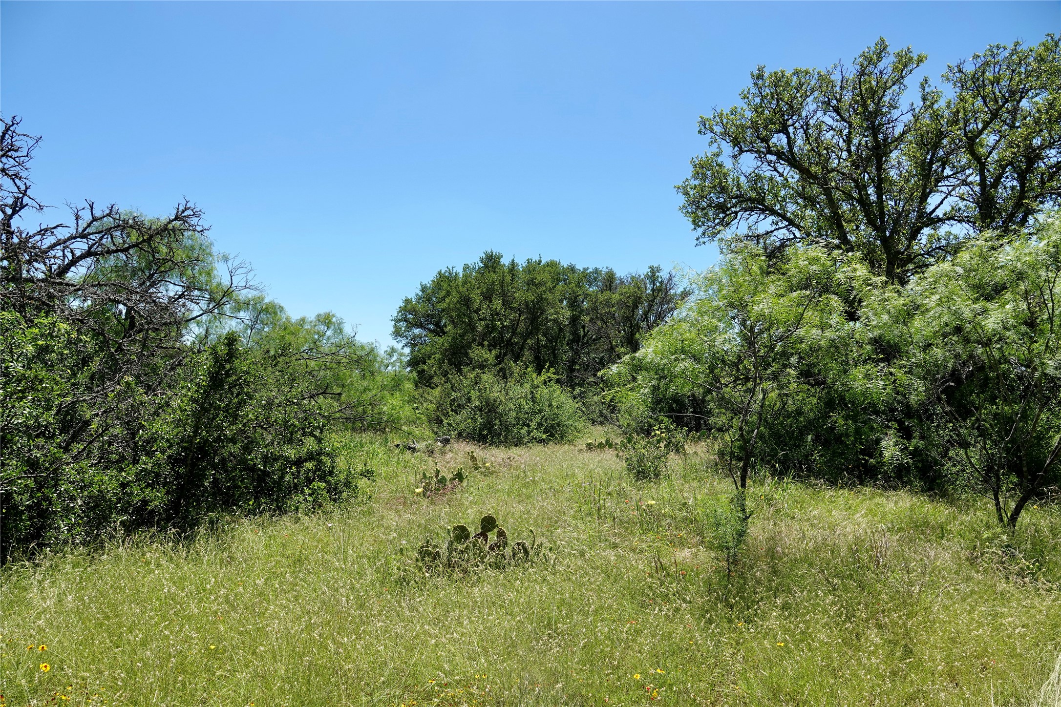 219 Cr 550 Mullin TX 76864