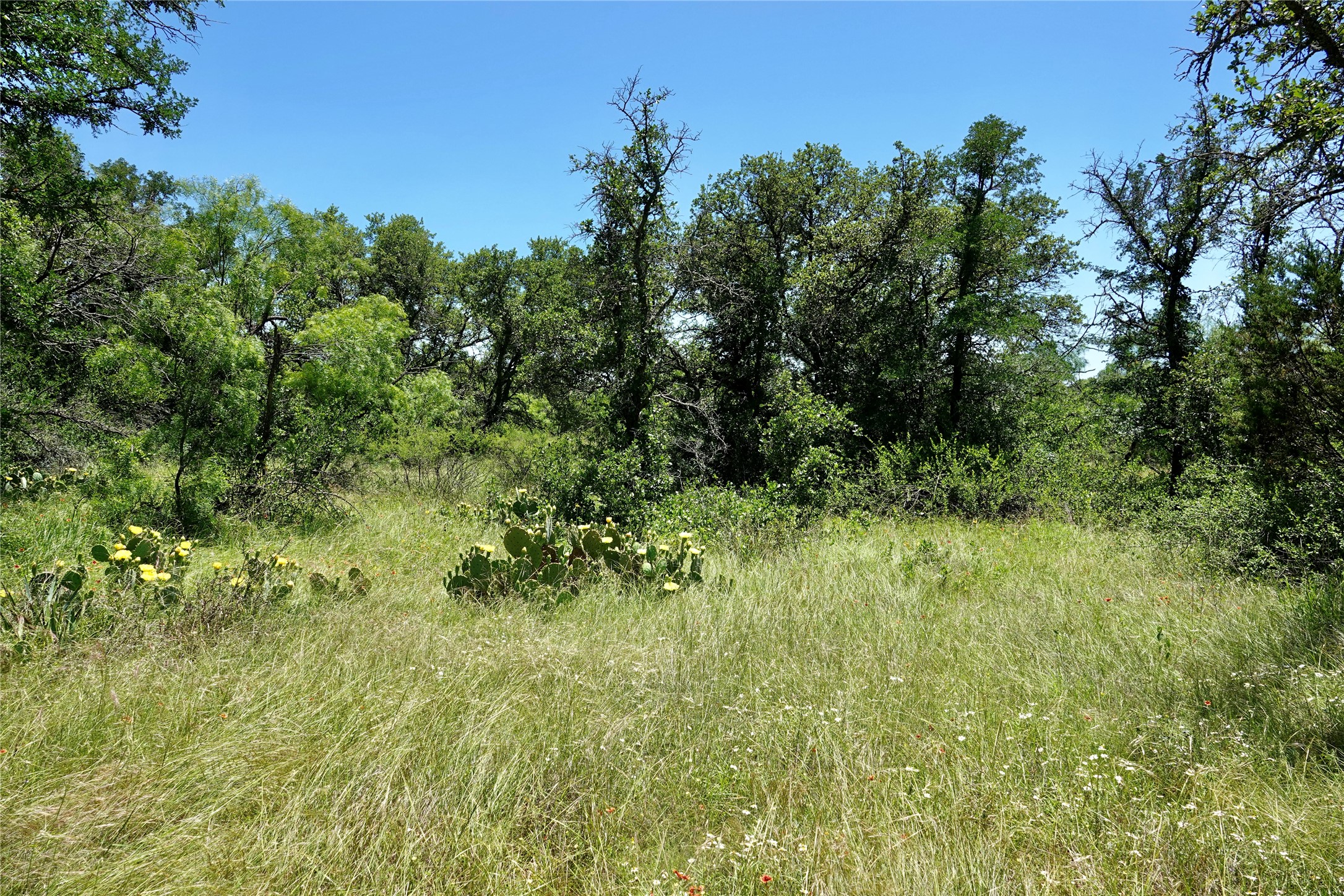 219 Cr 550 Mullin TX 76864
