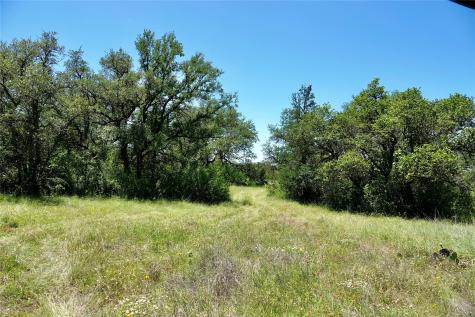 219 Cr 550 Mullin TX 76864