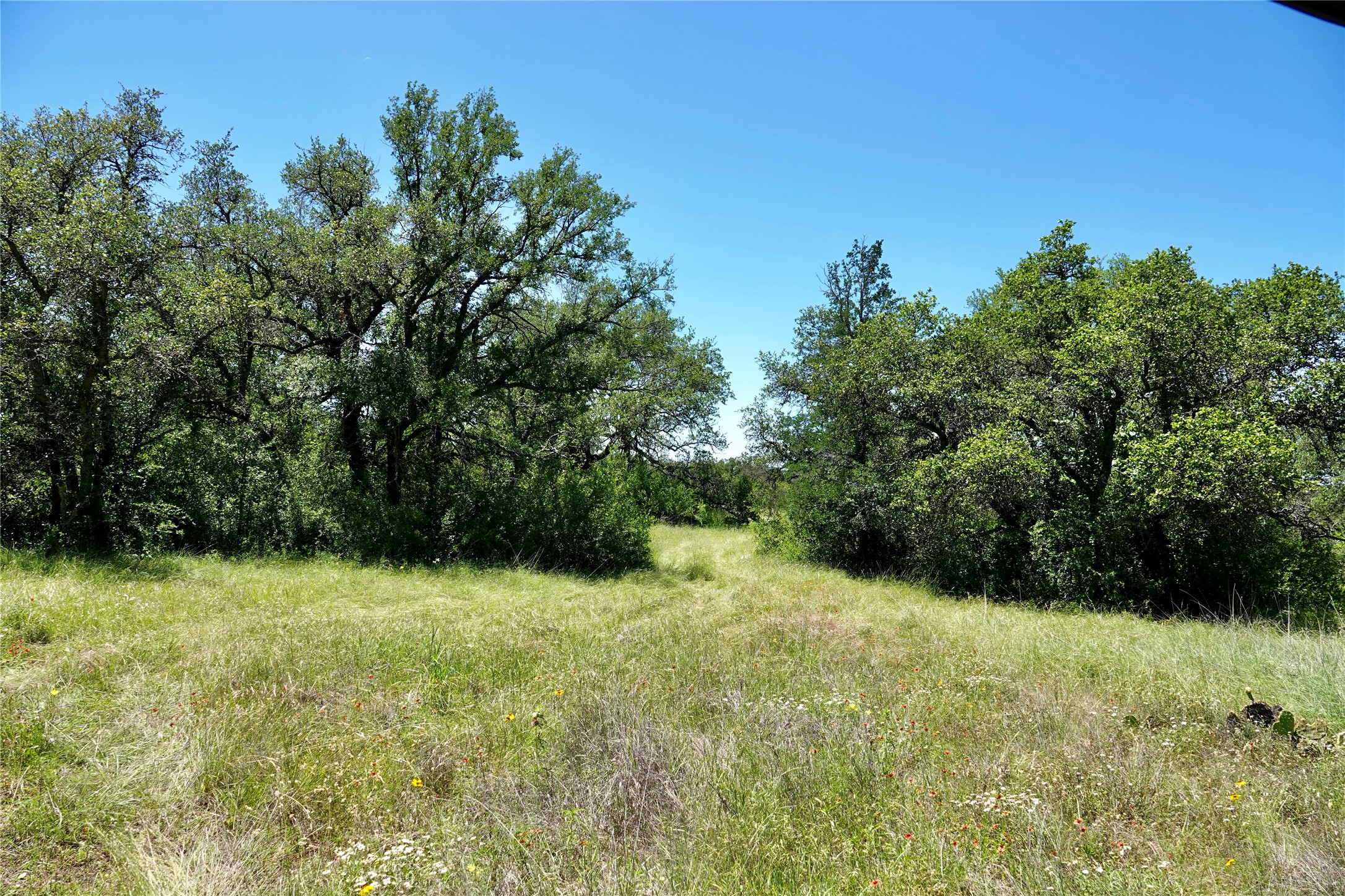 219 Cr 550 Mullin TX 76864