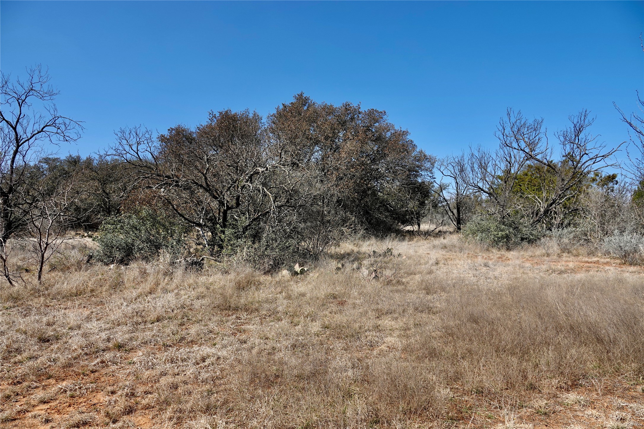 219 Cr 550 Mullin TX 76864