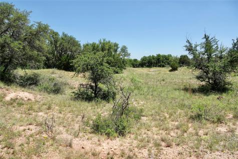 219 Cr 550 Mullin TX 76864