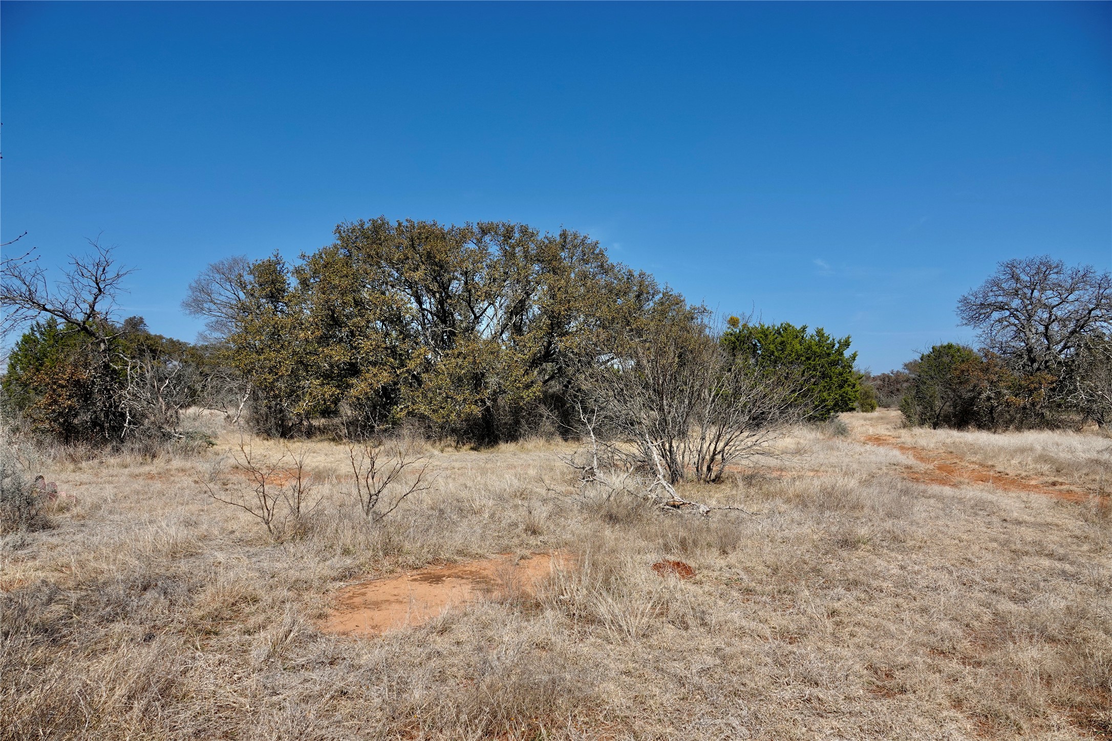 219 Cr 550 Mullin TX 76864