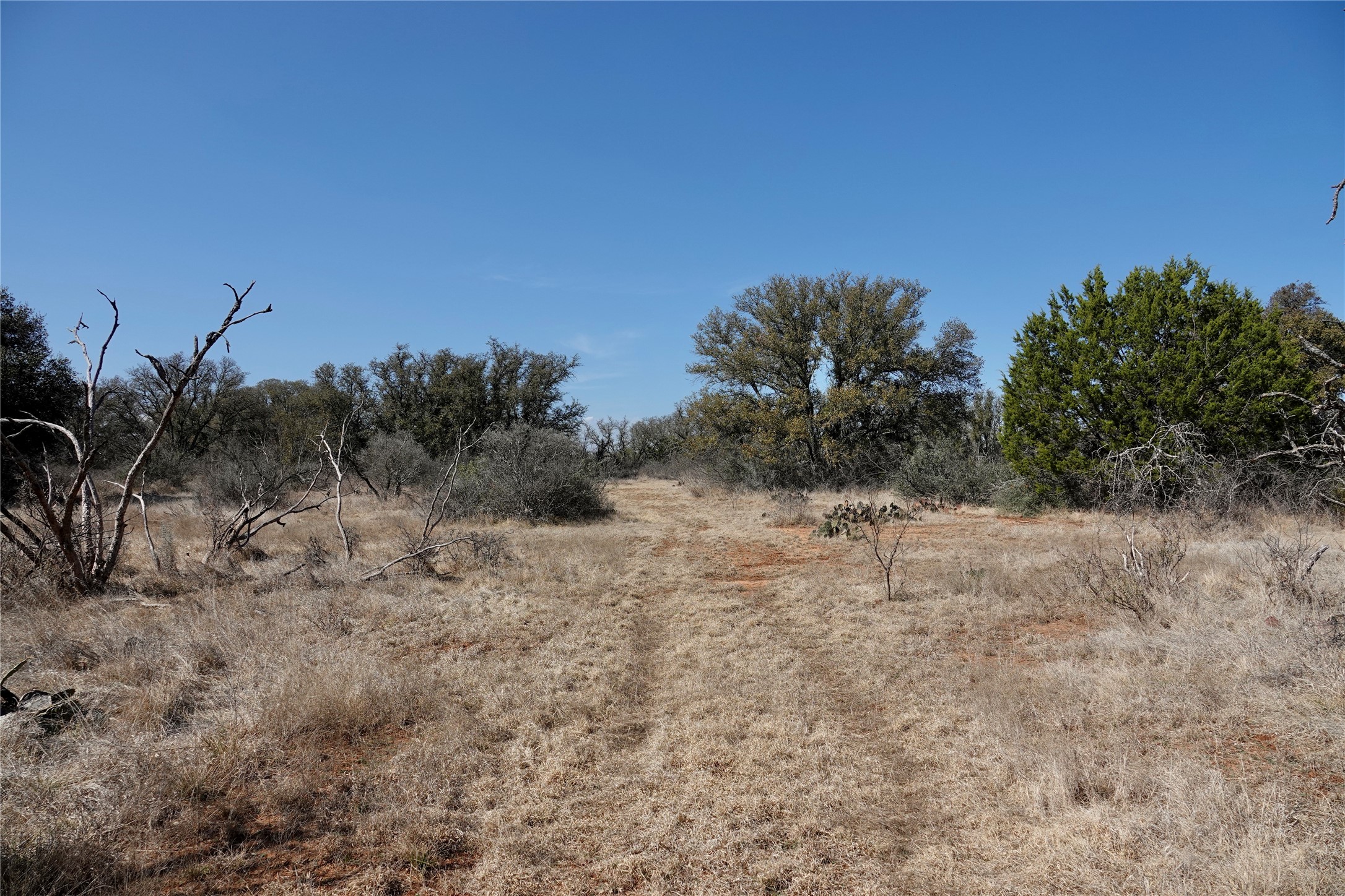 219 Cr 550 Mullin TX 76864
