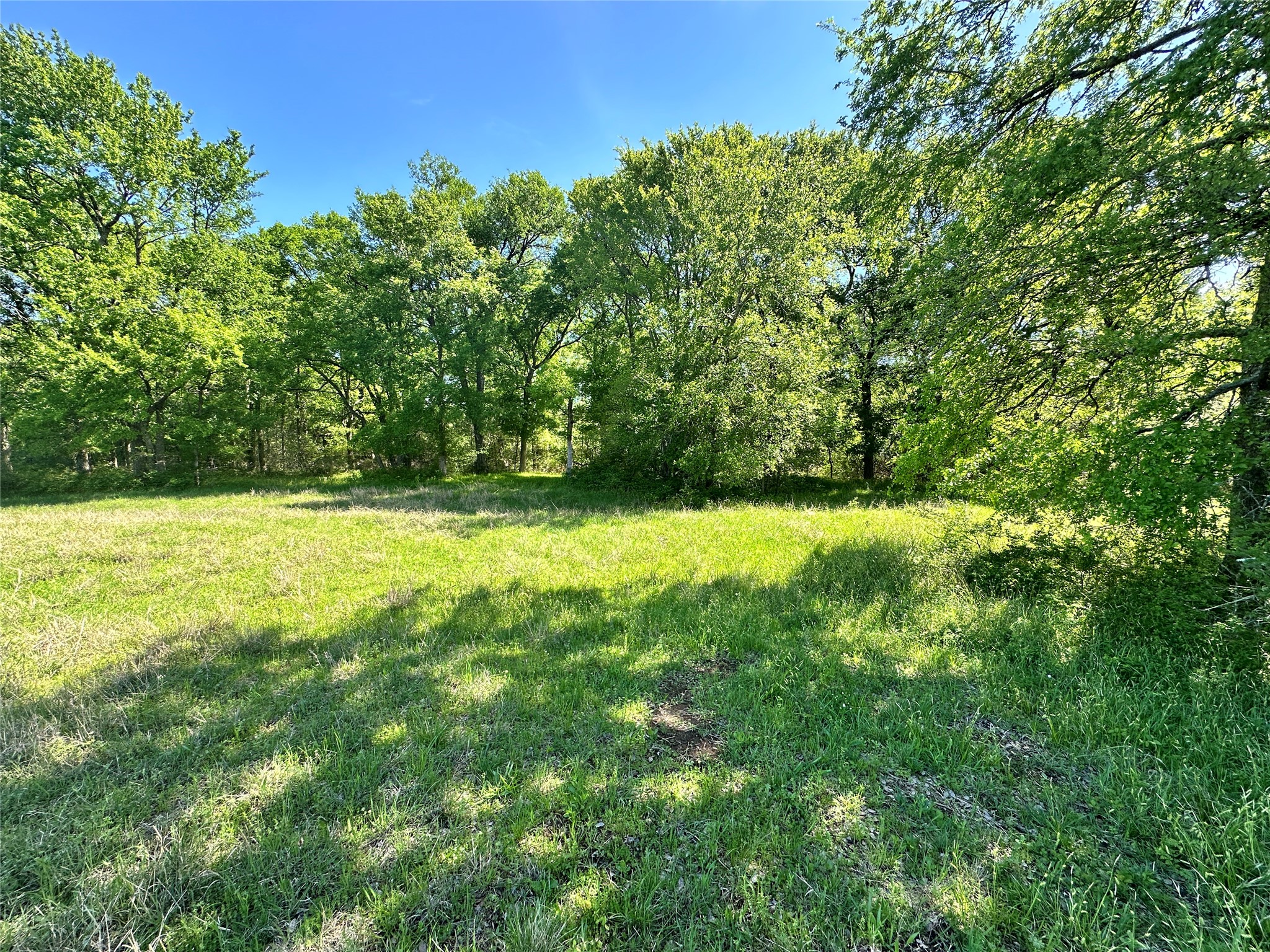 Lot 37 Sandy Cove Circle Streetman TX 75859