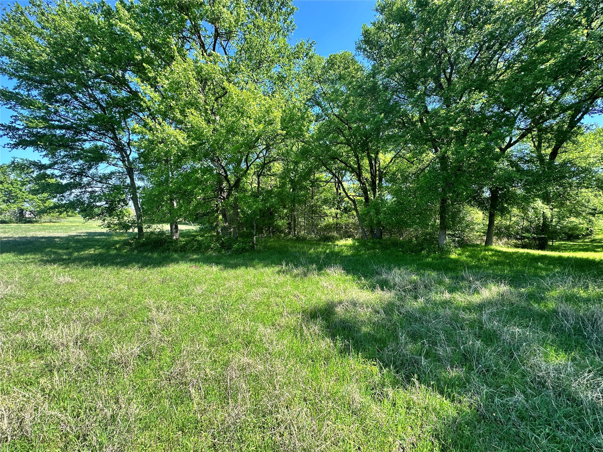 Lot 37 Sandy Cove Circle Streetman TX 75859