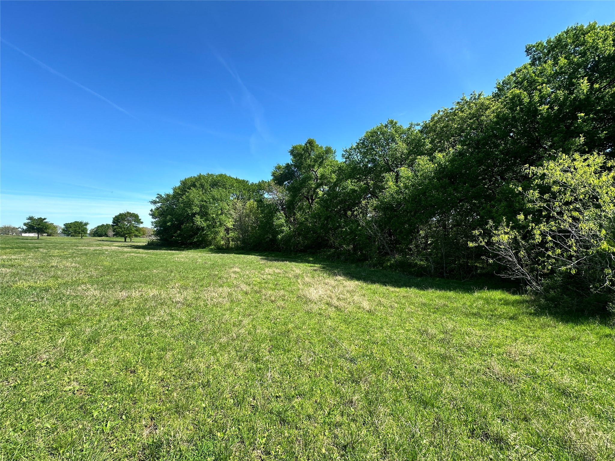 Lot 37 Sandy Cove Circle Streetman TX 75859