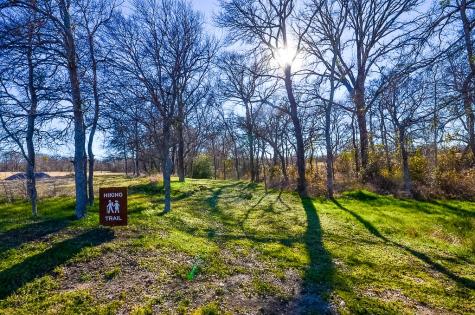 Lot 37 Sandy Cove Circle Streetman TX 75859