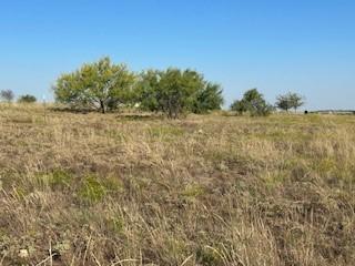 4044 Mirielle Drive Aledo TX 76008