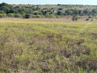 4044 Mirielle Drive Aledo TX 76008