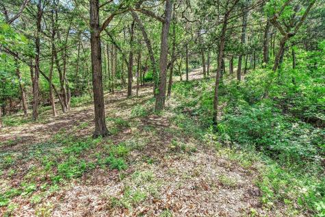 65 Lakewood Lane Pottsboro TX 75076