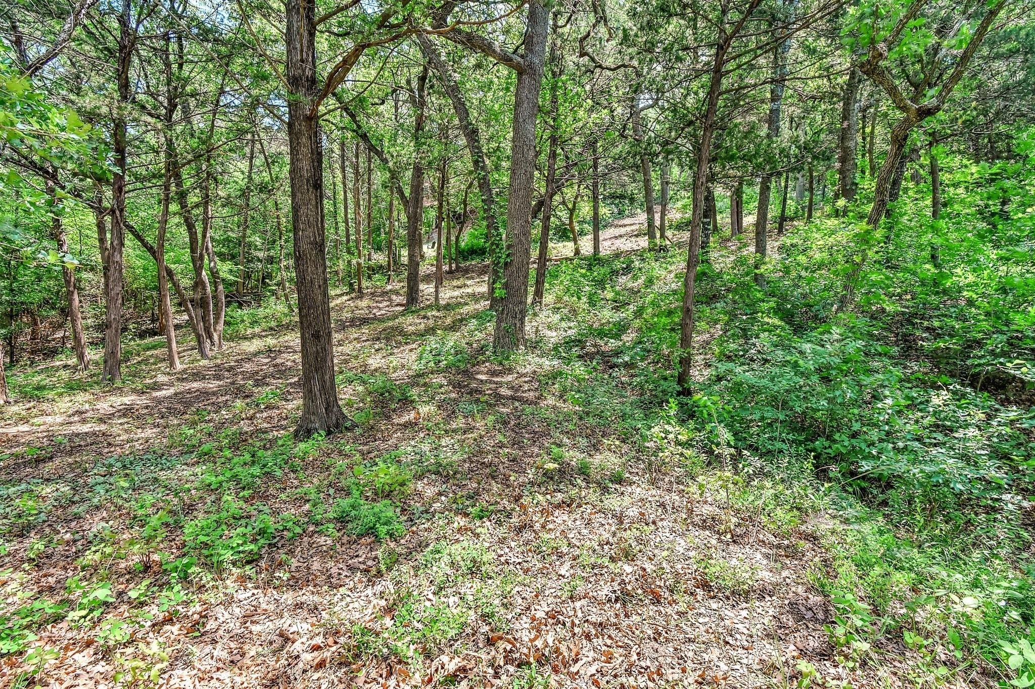 65 Lakewood Lane Pottsboro TX 75076