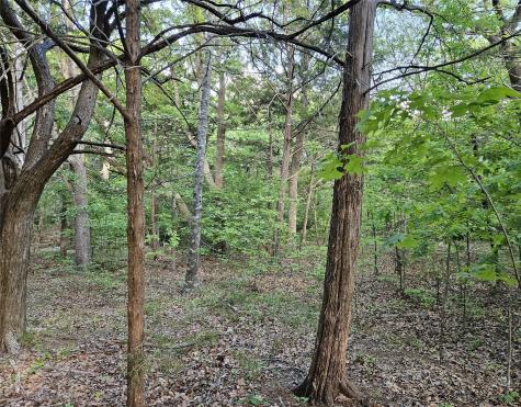65 Lakewood Lane Pottsboro TX 75076