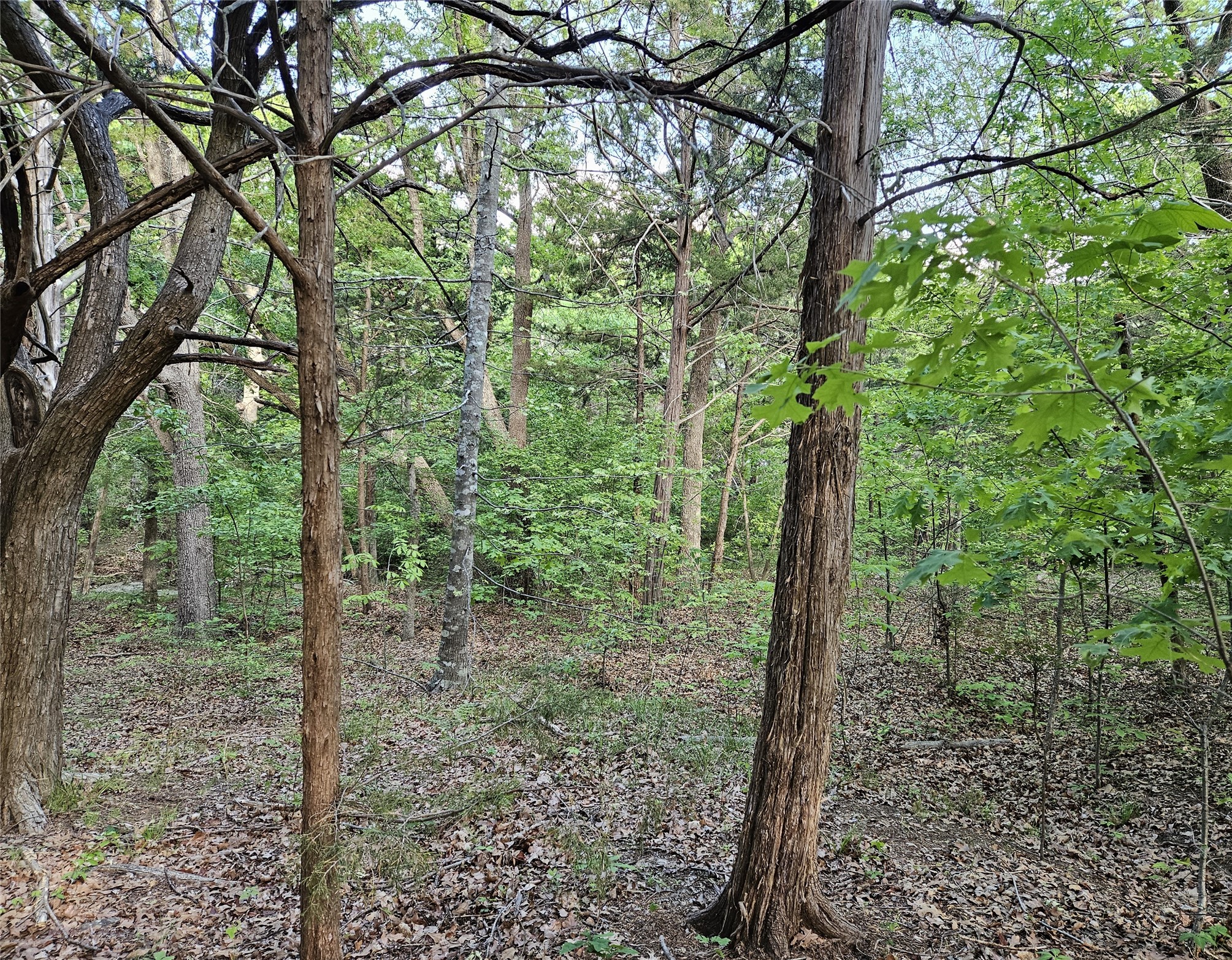 65 Lakewood Lane Pottsboro TX 75076