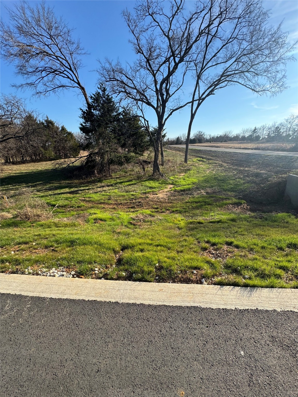 Lot 22 Medallion Club Street Gordonville TX 76245