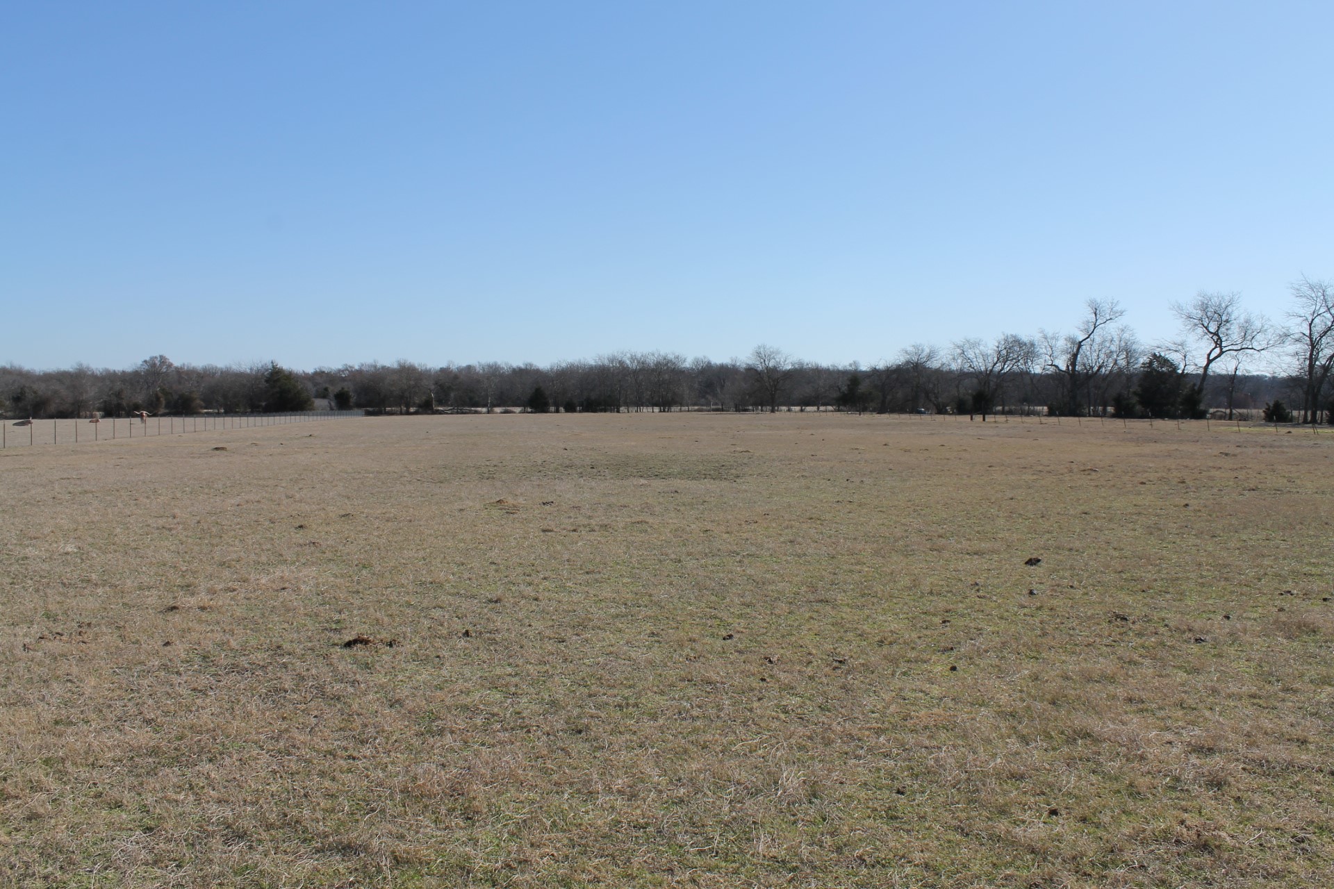 6.5 Ac Cr 4586 Sulphur Springs TX 75482