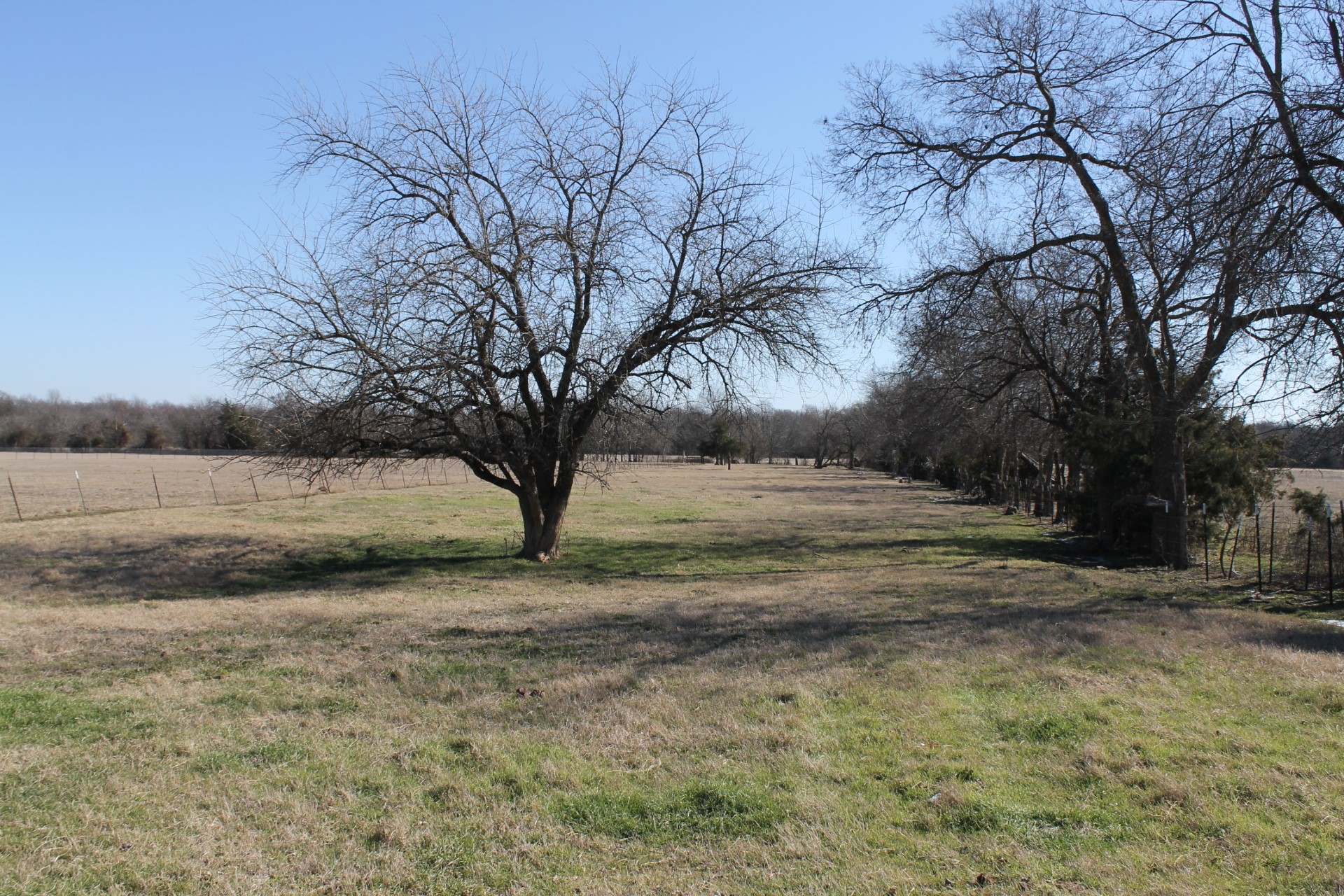 6.5 Ac Cr 4586 Sulphur Springs TX 75482