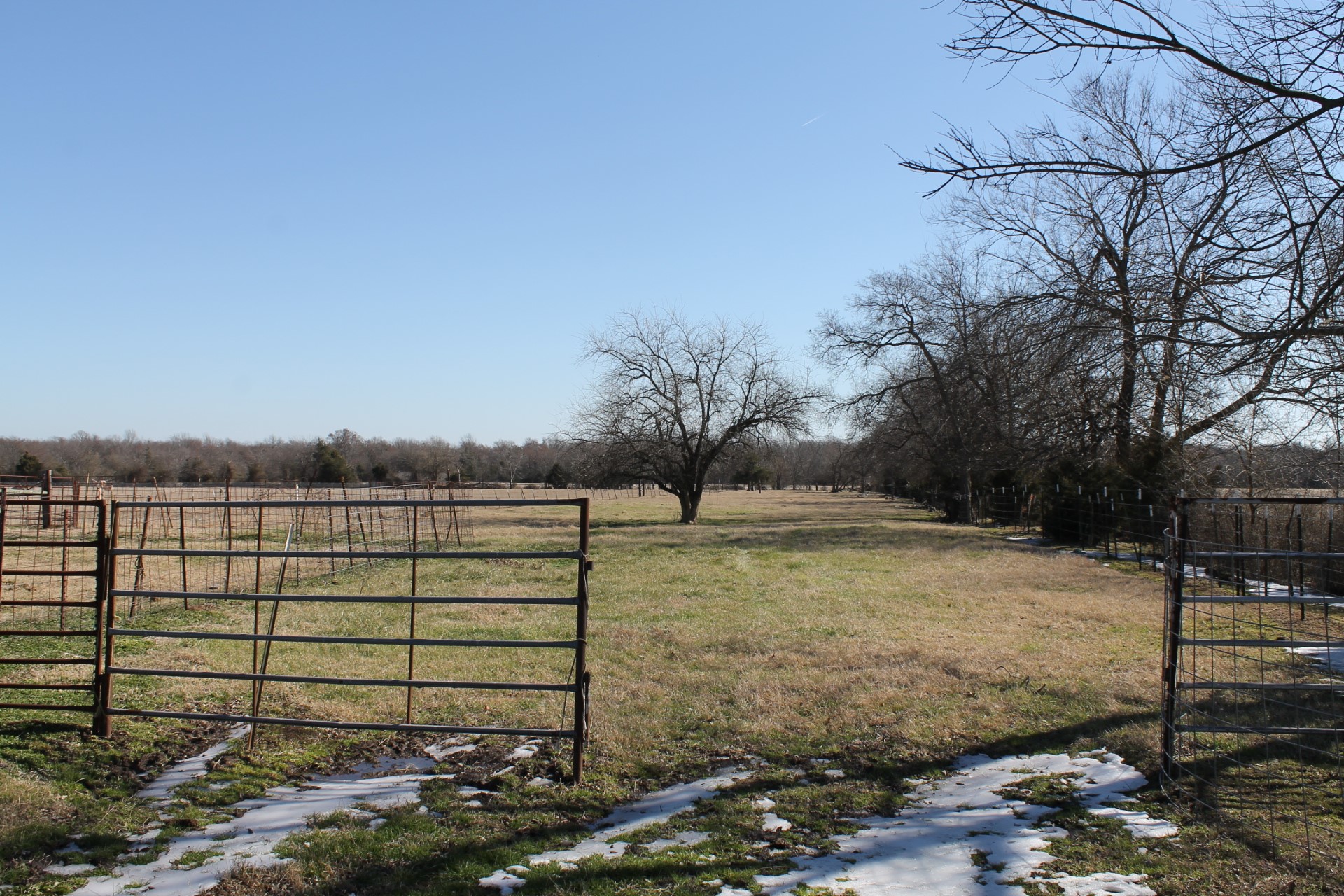 6.5 Ac Cr 4586 Sulphur Springs TX 75482