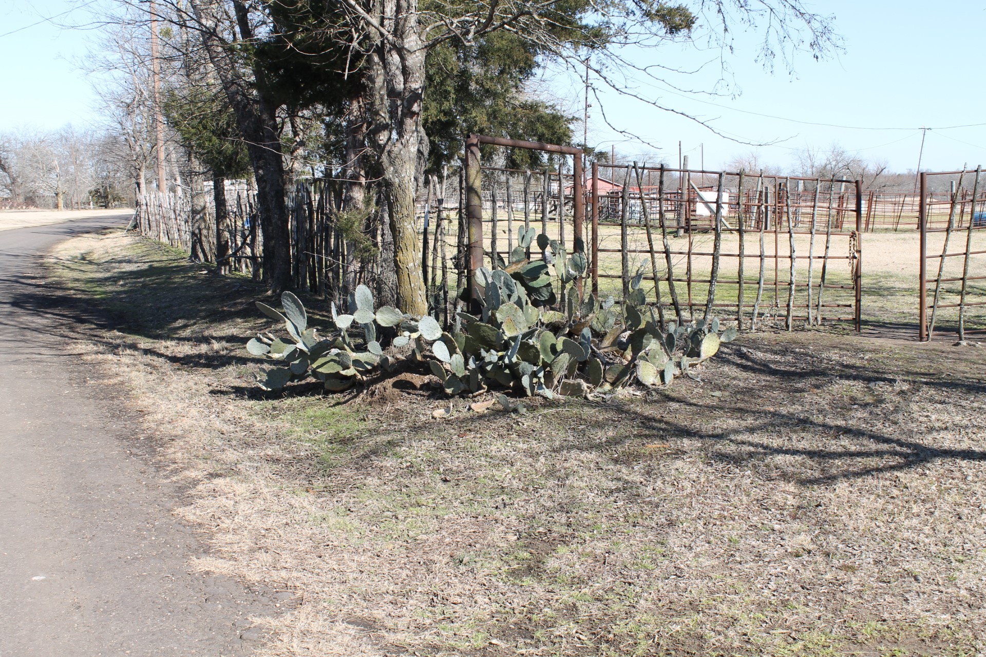 6.5 Ac Cr 4586 Sulphur Springs TX 75482