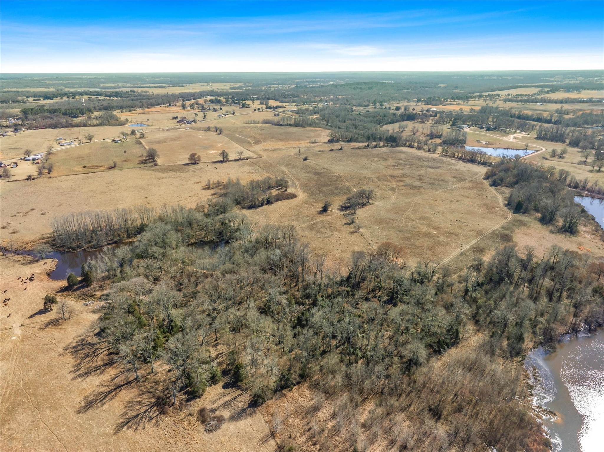 Tbd Vz County Road 2317 30 Acres Canton TX 75103