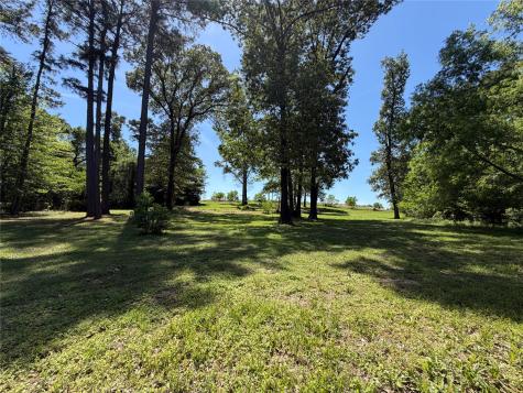 0 County Road 3202 Chandler TX 75758