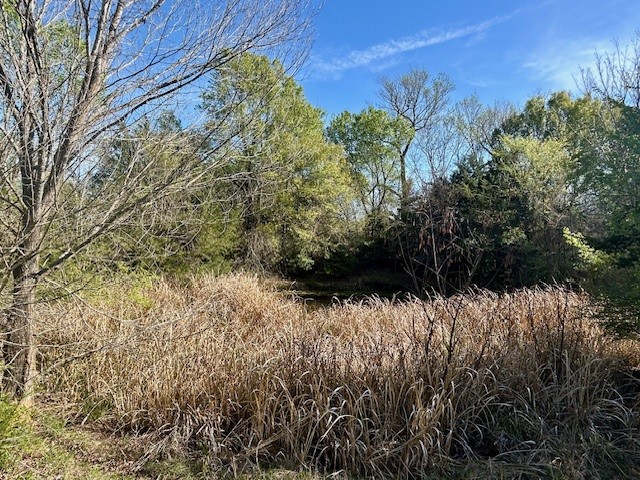 Tbd Fm 1512 Jewett TX 75846