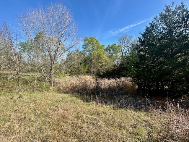 Tbd Fm 1512 Jewett TX 75846
