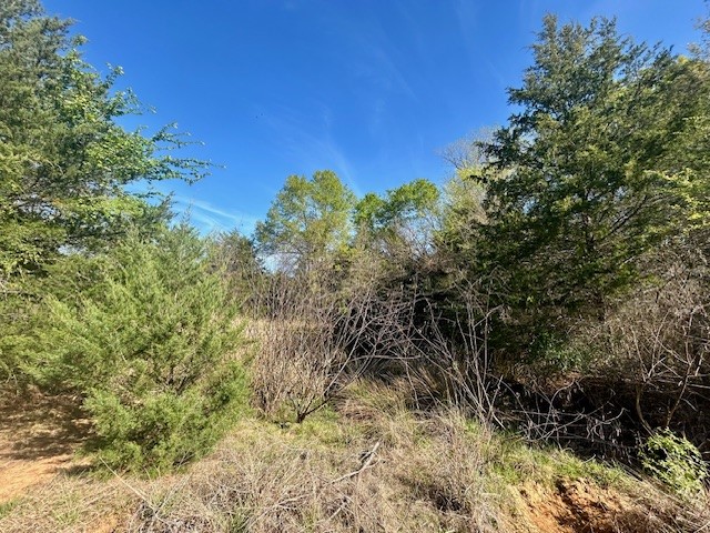 Tbd Fm 1512 Jewett TX 75846