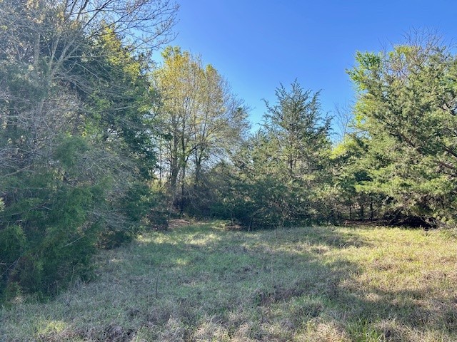 Tbd Fm 1512 Jewett TX 75846