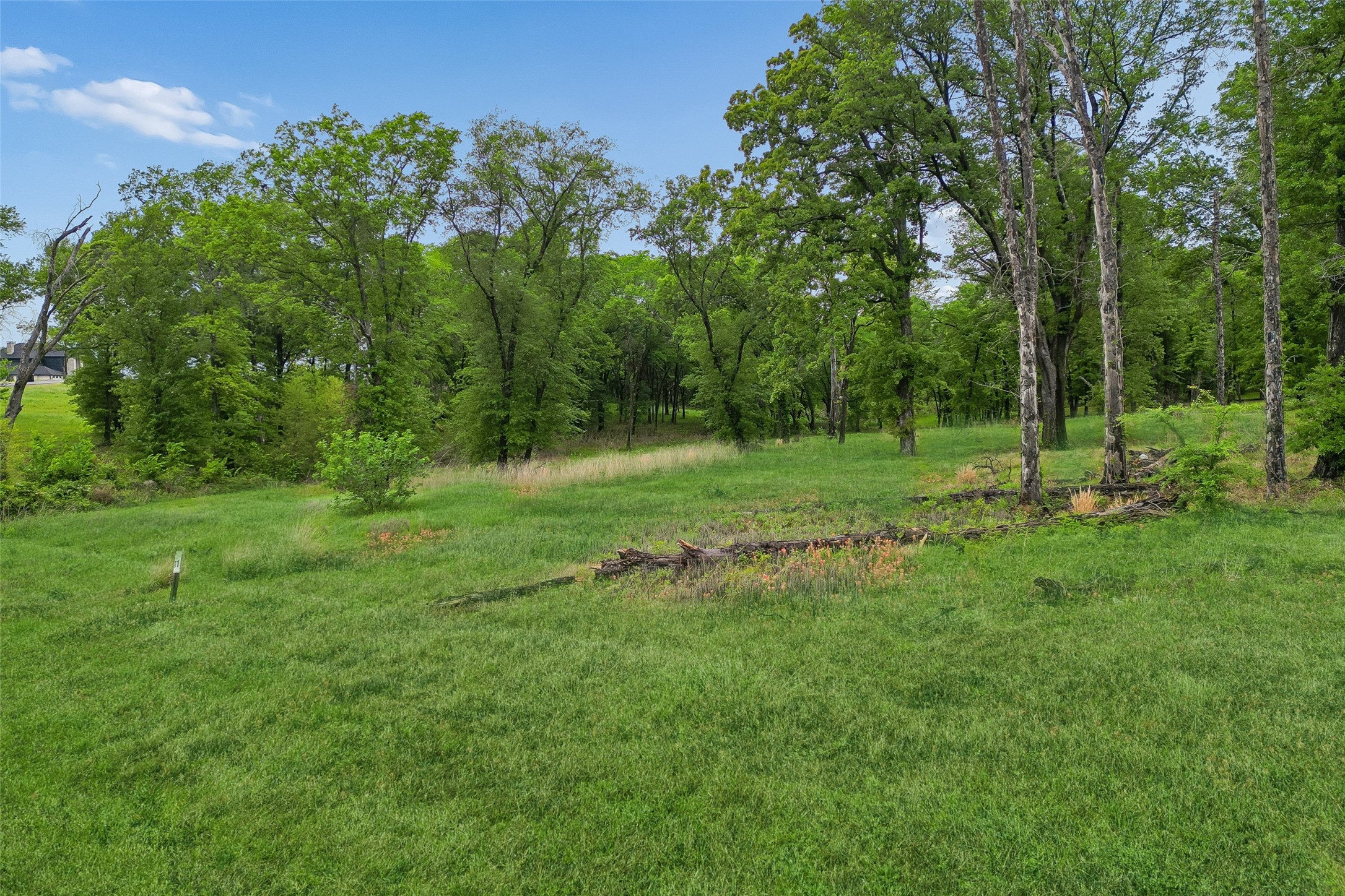 1593 Shoreline Drive Mabank TX 75143