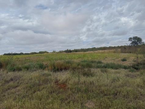 TBD Fm 57, 160 Acres Roby TX 79543
