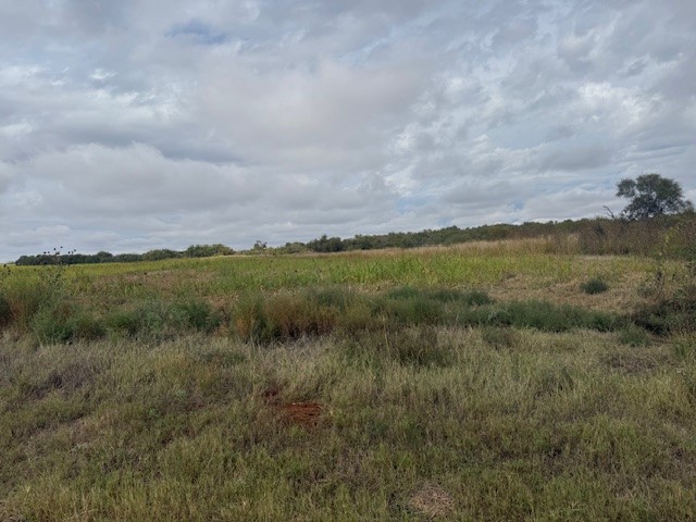 Tbd Fm 57, 160 Acres Roby TX 79543