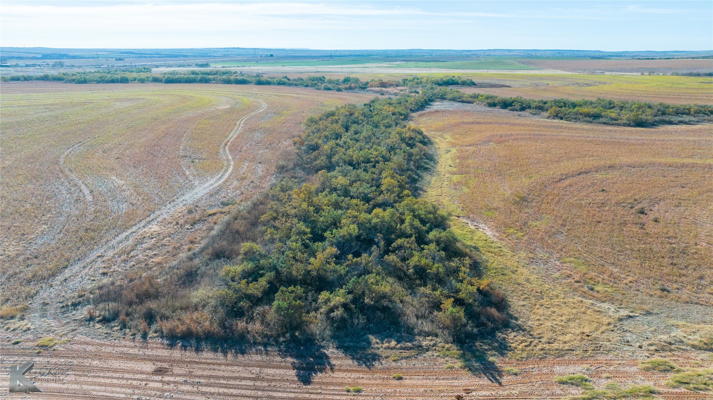Tbd Fm 57, 160 Acres Roby TX 79543