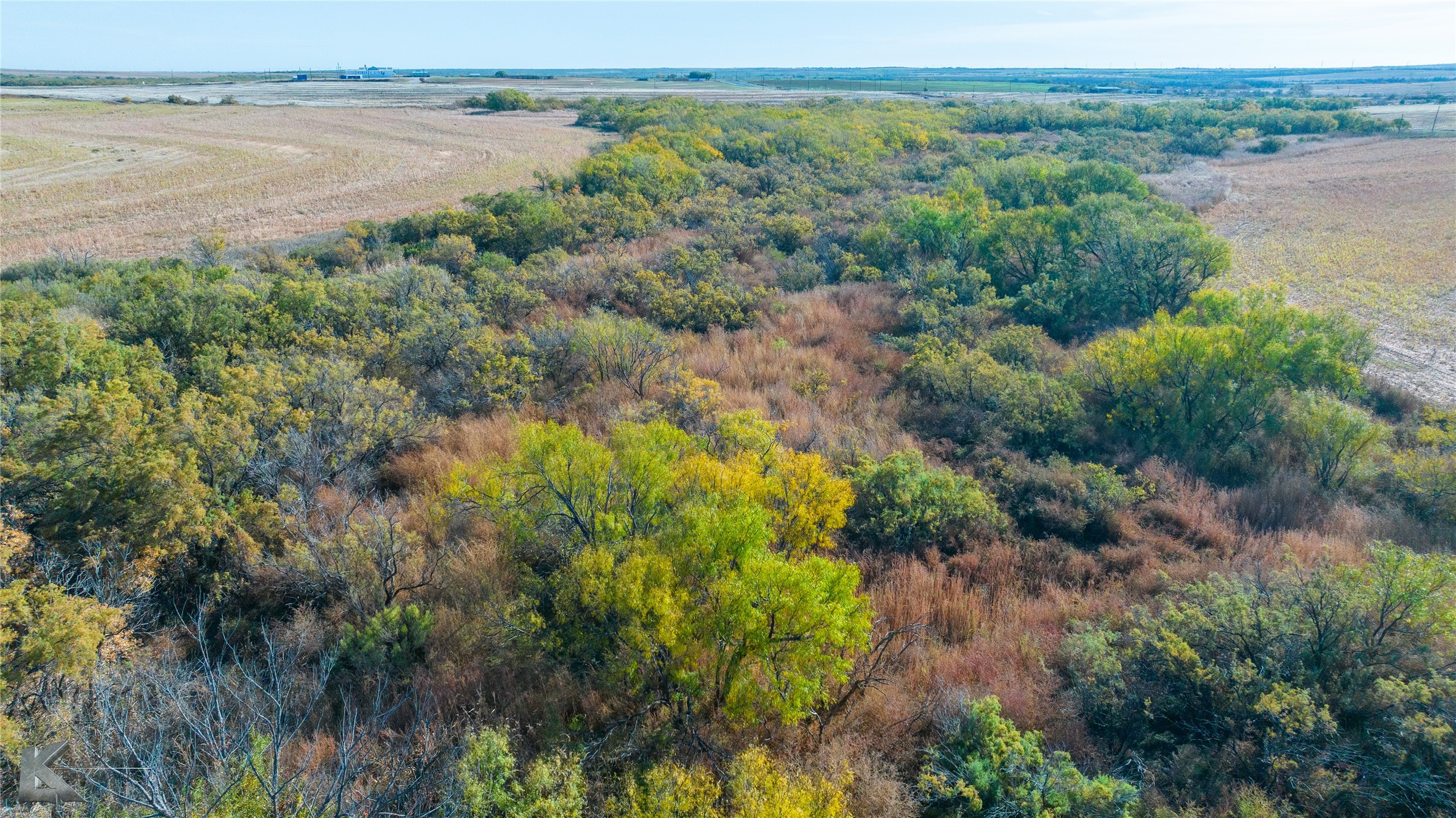 Tbd Fm 57, 160 Acres Roby TX 79543