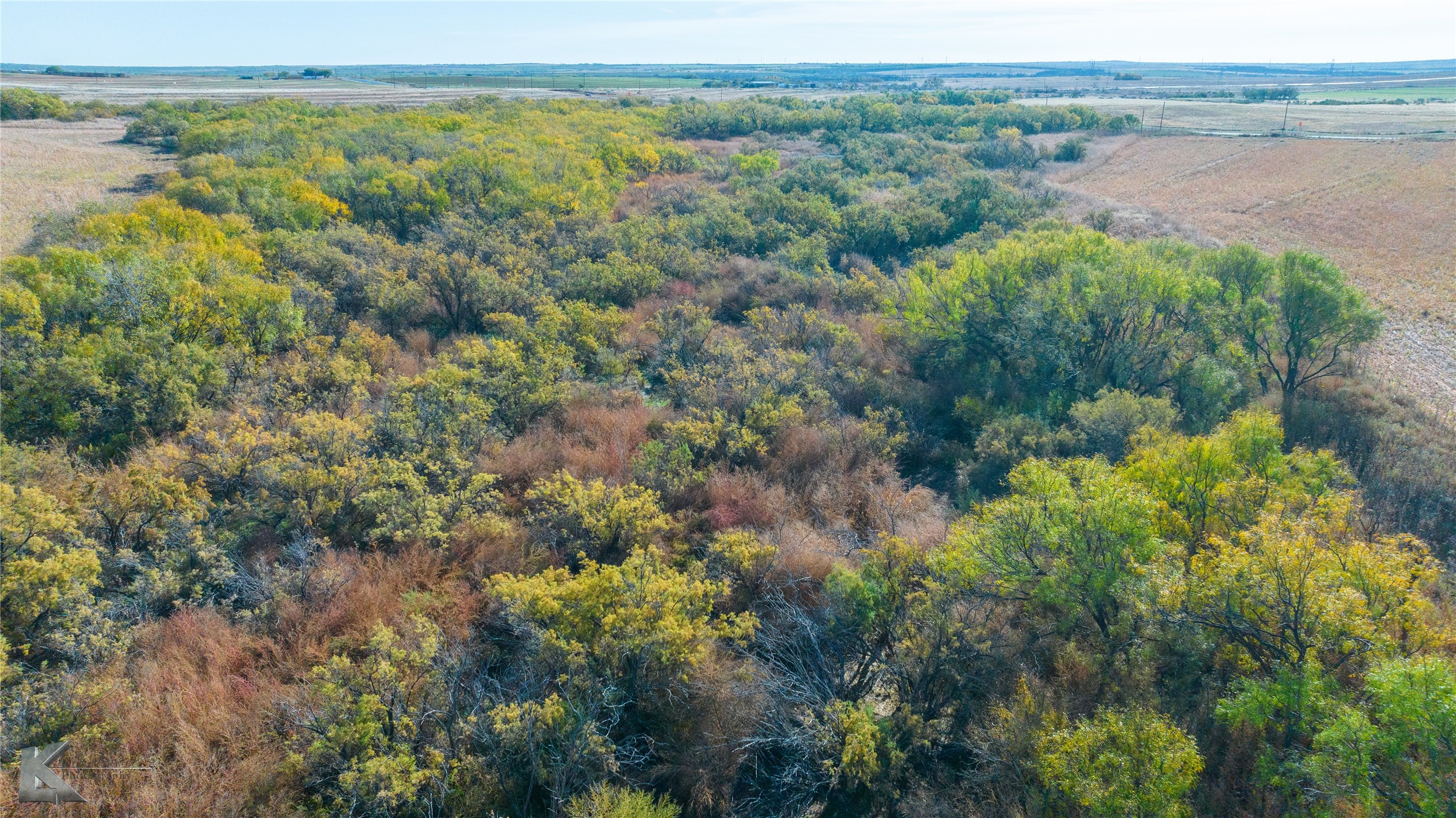 Tbd Fm 57, 160 Acres Roby TX 79543