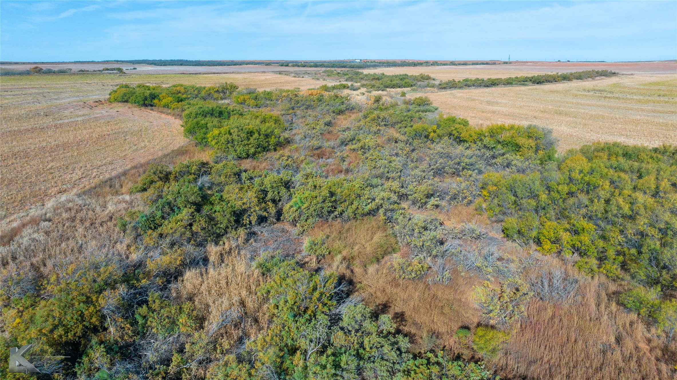 Tbd Fm 57, 160 Acres Roby TX 79543